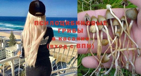 Альфа ПВП Алексеевка
