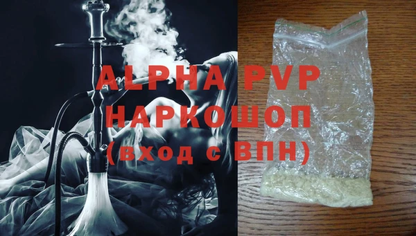 шишки Сосновый Бор