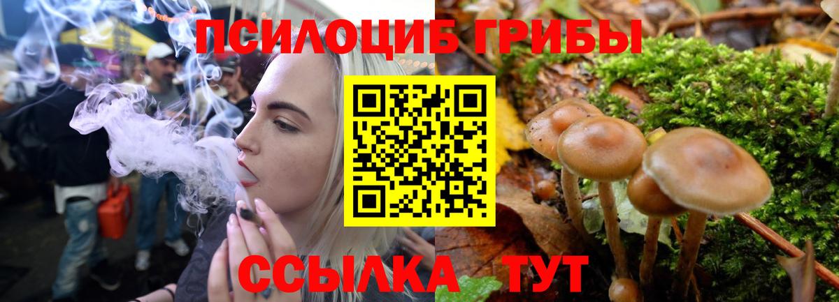 Выкса  Галлюциногенные грибы Psilocybine cubensis  Вход с VPN 